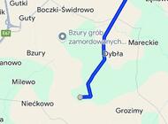 Grajewo ogłoszenia: Oddam wiatrołomy, suche itp.  za uprzątnięcie lasu ( okolice... - zdjęcie